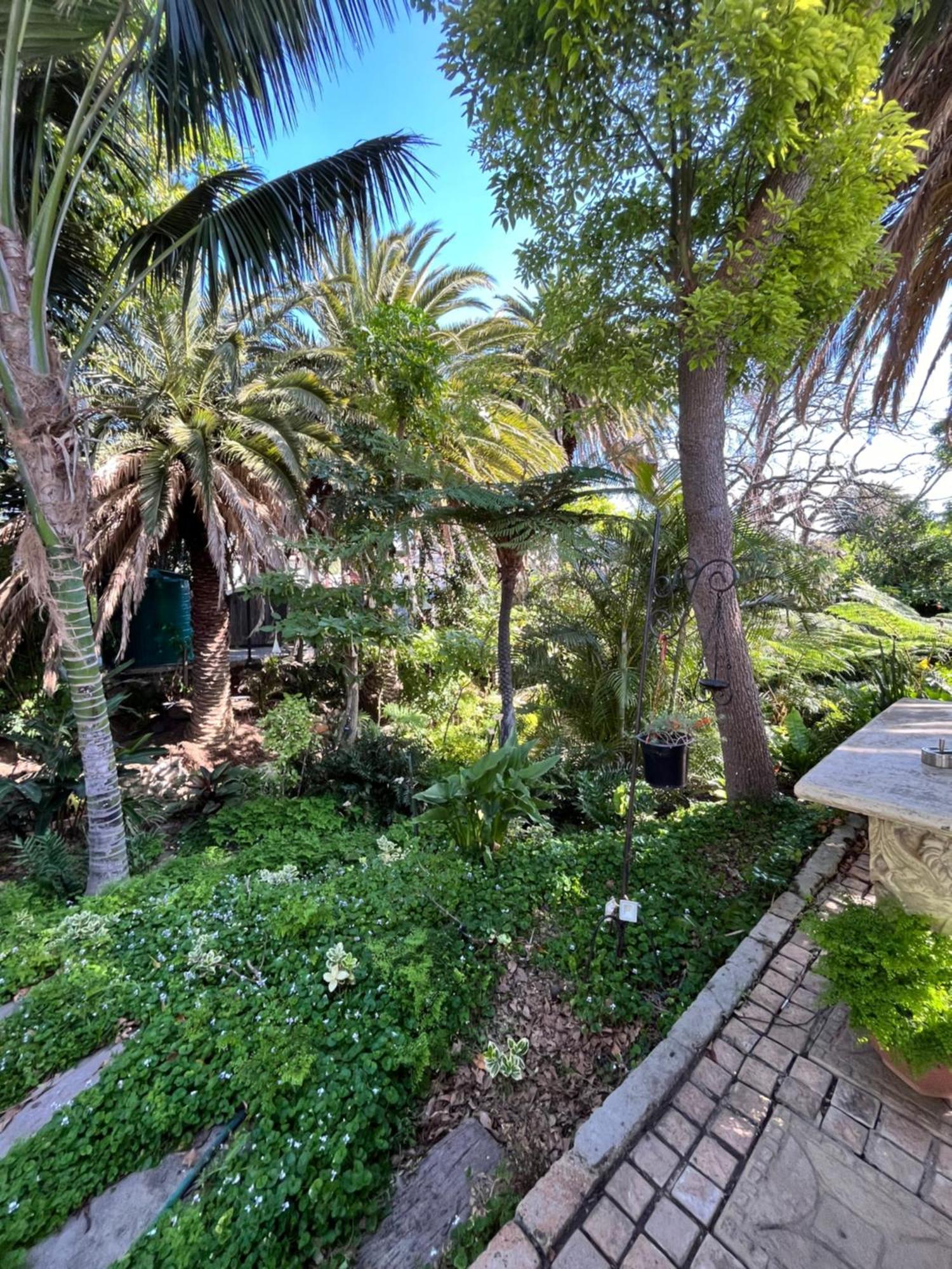 Somerset West Garden Apartments 1 Esterno foto